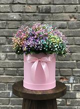 Цветочная композиция из Гипсофила и Розы в шляпной коробке #REPLACE_PRED# Кировске Мурманской области