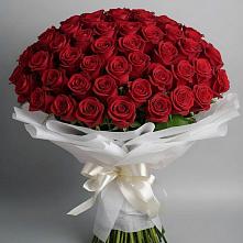 Букет 101 Красная роза Блэк Мэджик в Кировске Мурманской области
