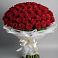 Букет 101 Красная роза Блэк Мэджик в Кировске Мурманской области