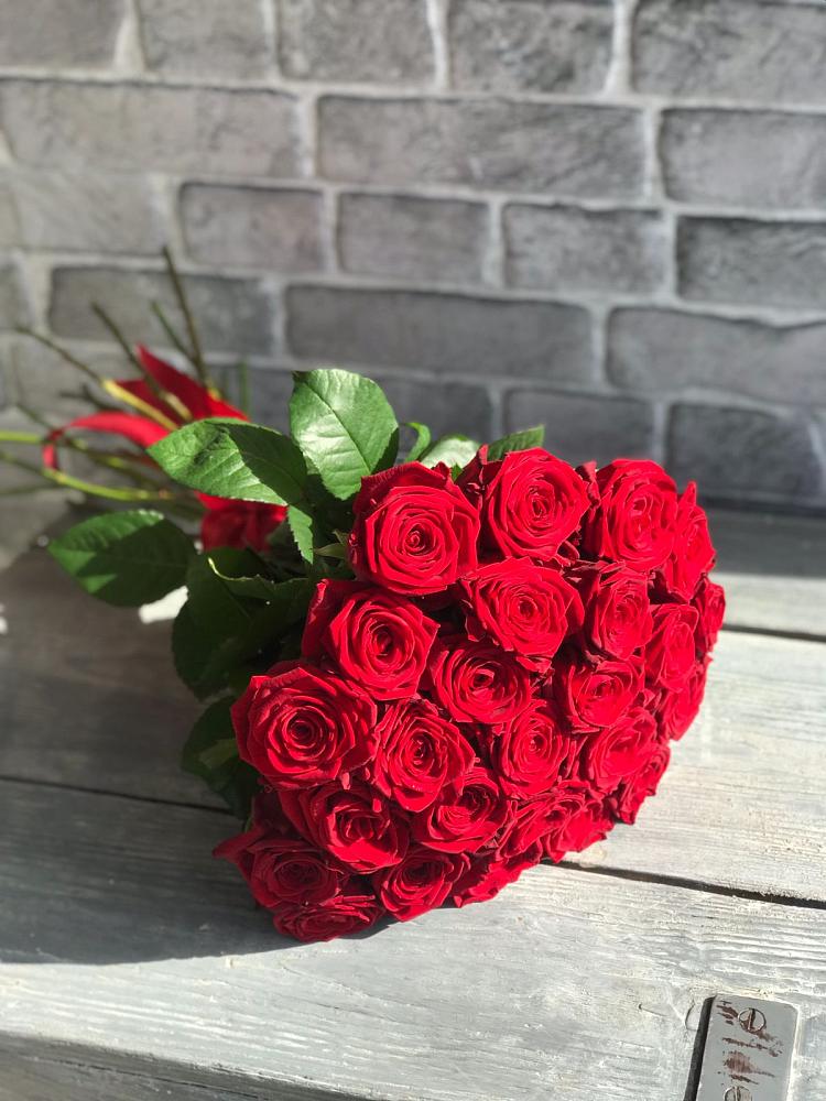 Букет Красные розы Фридом в Кировске Мурманской области