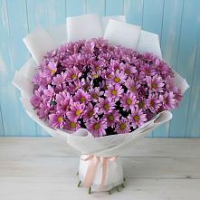 Букет цветов из:  Хризантемы в Кировске Мурманской области