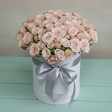 Цветочная композиция из Розы в шляпной коробке #REPLACE_PRED# Кировске Мурманской области