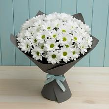 Букет цветов из:  Хризантемы в Кировске Мурманской области