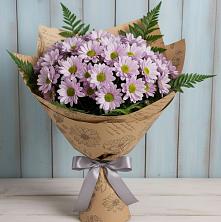 Букет цветов из:  Хризантемы в Кировске Мурманской области