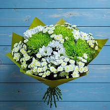 Букет цветов из:  Хризантемы в Кировске Мурманской области