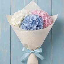 Букет цветов из:  Гортензия в Кировске Мурманской области