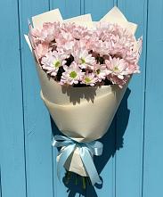 Букет цветов из:  Хризантемы в Кировске Мурманской области