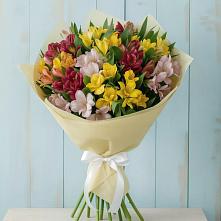 Букет цветов из:  Альстромерии в Кировске Мурманской области