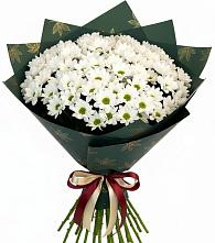 Букет цветов из:  Хризантемы #REPLACE_PRED# Кировске Мурманской области