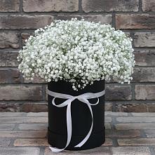 Цветочная композиция из Гипсофила в шляпной коробке в Кировске Мурманской области