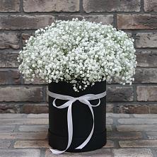 Цветочная композиция из Гипсофила в шляпной коробке в Кировске Мурманской области
