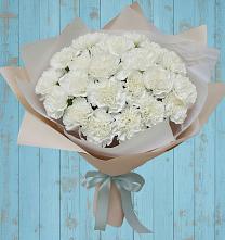 Букет цветов из:  Гвоздики в Кировске Мурманской области