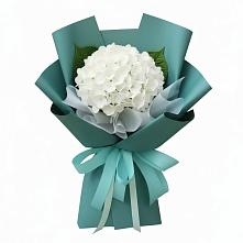 Букет цветов из:  Гортензия в Кировске Мурманской области